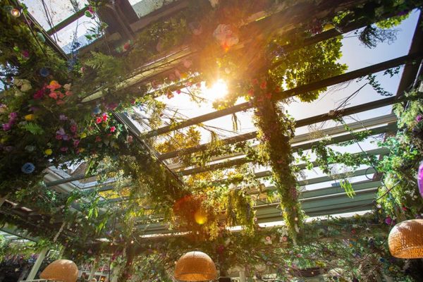 Retractable roof with hanging flowers